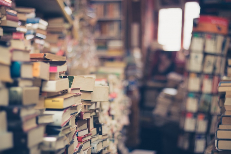 vitrine-ST ANTONIN DU VAR-min_books_stack_book_store_stack_of_books_2nd_hand_retro_hipster_shop-829090